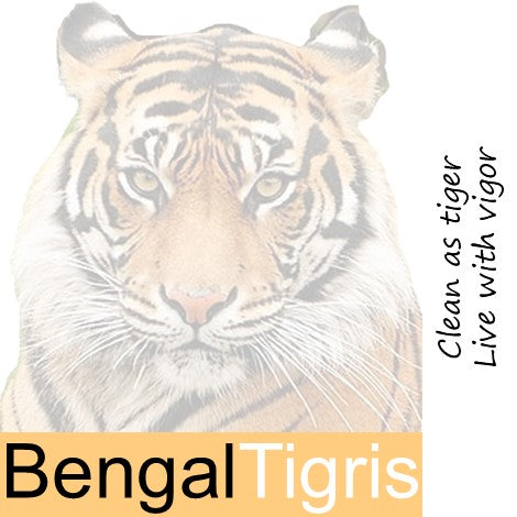 BengalTigris